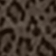 Women's Leopard Print Leopard Print Pants