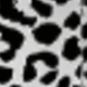 Women's Black and White Leopard Print High Waist Maxi Skirt