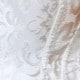 Women's 白色 Corset
