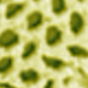 Women's Green Dresses